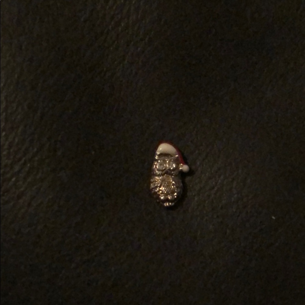 Origami owl charm